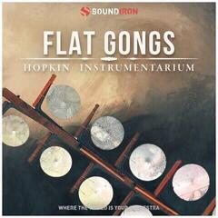 Soundlibraries für Sampler Soundiron Hopkin Intrumentarium: Flat Gongs (Digitales Produkt) - 1