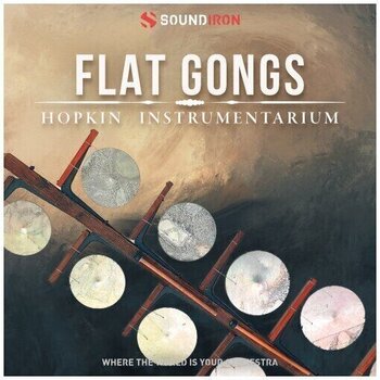 Soundlibraries für Sampler Soundiron Hopkin Intrumentarium: Flat Gongs (Digitales Produkt) - 2