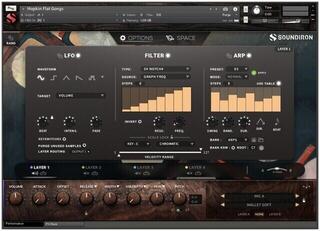 Soundlibraries für Sampler Soundiron Hopkin Intrumentarium: Flat Gongs (Digitales Produkt) - 2