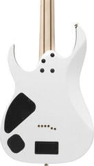 Električna gitara Ibanez RGR621G-WH White Električna gitara - 4