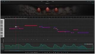 VST Instrument Ample Sound Ample China Xun - ACX (Digitalni proizvod) - 2