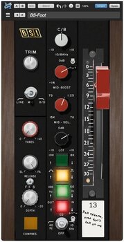 Programski Plug-In efekti Metric Halo MBSI (Digitalni proizvod) - 2