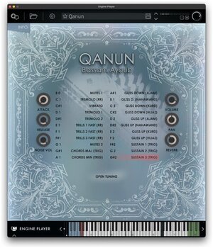 Geluidsbibliotheek voor sampler Engine Audio Qanun (Digitaal product) - 2