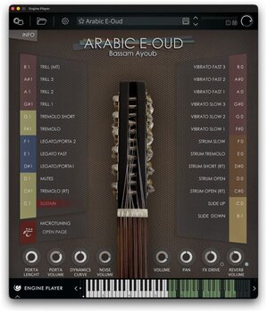 Update / Upgrade / Expansion Engine Audio Arabic E-Oud Crossgrade (Digitalni izdelek) - 2