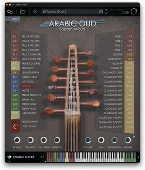 Sample/Sound Library Engine Audio Arabic Oud (Digital product) - 2