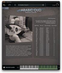 Sample i instrumenty wirtualne Engine Audio Arabic Oud (Produkt cyfrowy) - 2