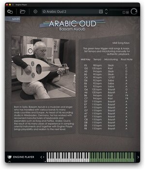 Sample/Sound Library Engine Audio Arabic Oud (Digital product) - 3