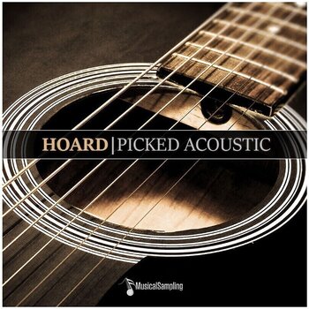 Sample/Sound Library Musical Sampling Hoard Bundle (Digital product) - 2
