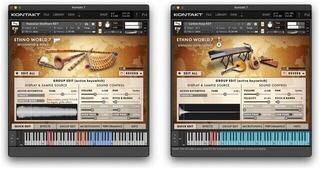 Update / Upgrade / Expansion Best Service Ethno World 7 Instruments Upgrade (Digital product) - 1
