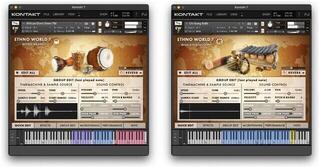 Update / Upgrade / Expansion Best Service Ethno World 7 Instruments Upgrade (Digital product) - 2