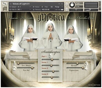 Update / Upgrade / Expansion Best Service Mystica Crossgrade (Digitaal product) - 2