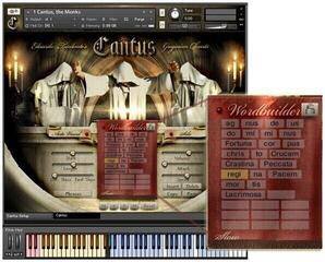 Update / Upgrade / Expansion Best Service Cantus Crossgrade - 1