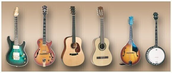 Update / Upgrade / Expansion Best Service Chris Hein Guitars Crossgrade (Digitaal product) - 2