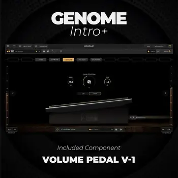 Zvočna knjiga za sampler Engine Audio Alpine Volksmusik 1 (Digitalni izdelek) - 5