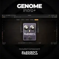 Sample/Sound Library Engine Audio Alpine Volksmusik 1 (Digital product) - 5