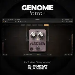 Sample/Sound Library Engine Audio Alpine Volksmusik 1 (Digital product) - 6
