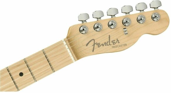 Guitare électrique Fender American Elite Telecaster Thinline Maple Satin Jade Pearl Metallic - 5