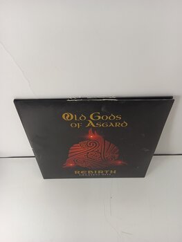 Disque vinyle Old Gods Of Asgard - Rebirth (Limited Edition) (Gold Coloured) (2 LP) (Endommagé) - 3