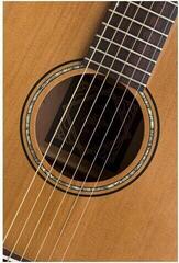 Akustična gitara Baton Rouge X11C/F Akustična gitara - 5