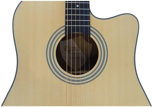 Dreadnought Elektro-Akustikgitarren Randon RGI-01CE Dreadnought Elektro-Akustikgitarren - 3