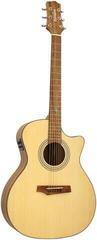 Elektro-akustična jumbo gitara Randon RGI-04CE Elektro-akustična jumbo gitara - 2