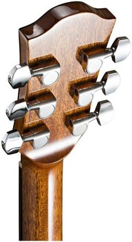 Dreadnought Guitar Duke D-MC-Cut Dreadnought Guitar - 5