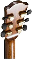 Guitare acoustique Duke D-PF-Cut-Solid Guitare acoustique - 4