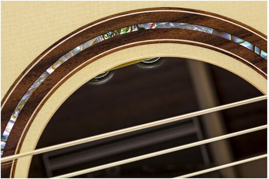 Guitare acoustique Duke D-PF-Cut-Solid Guitare acoustique - 7