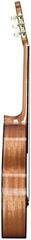 Klasična gitara Duke Konzert C 4/4 Klasična gitara - 2
