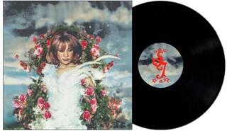 Disc de vinil Susannah Joffe - Dust Settles And So Will I (LP) - 1