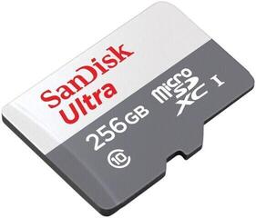 Carte mémoire SanDisk Ultra Lite 100 MB/s Micro SDXC 256 GB Carte mémoire - 1