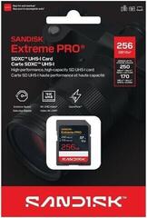 Carte mémoire SanDisk Extreme PRO 250 MB/s SDXC 256 GB Carte mémoire - 2