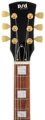 Electric guitar PSD Guitars DCT-150 Black Electric guitar - 6