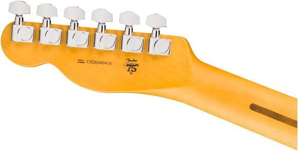 Sähkökitara Fender American Professional Telecaster RW Sähkökitara - 6