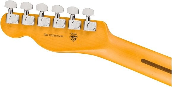 Electric guitar Fender American Professional Hot Shot Telecaster RW Electric guitar - 6