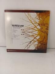 Vinyl Record Despised Icon - The Healing Process (Reissue) (Limited Edition) (Transparent Dark Amber Coloured) (180 g) (LP + CD) (Just unboxed) - 2