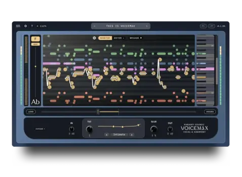 Procesador de efectos de complemento de software Karanyi Sounds Voicemax (Producto digital) - 2