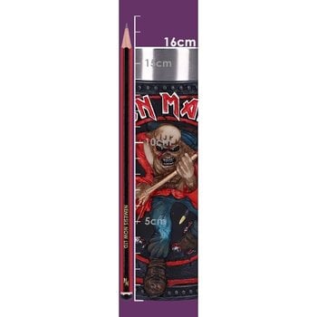 Taza / Vaso / Botella Iron Maiden Eddie The Trooper Jarra - 10