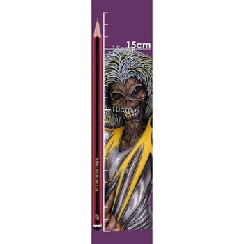 Figura coleccionable Iron Maiden Killers Bust Small Caja decorativa 16,5 cm - 10
