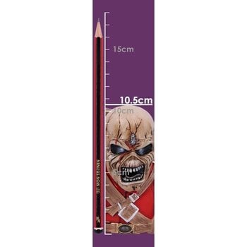 Figura coleccionable Iron Maiden The Trooper Bust Caja decorativa 12 cm - 9