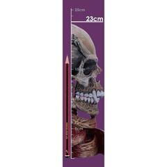 Figura coleccionable Metallica Pushead Skull 23,5 cm - 7