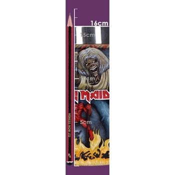 Taza / Vaso / Botella Iron Maiden The Number of the Beast Jarra - 9