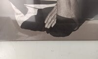 Jeff Beck - Tribute (LP)