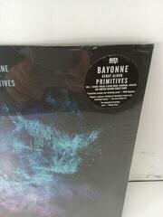 LP plošča Bayonne - Primitives (Violet Coloured) (LP) (Poškodovano) - 2