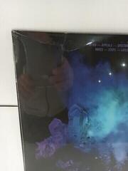 LP plošča Bayonne - Primitives (Violet Coloured) (LP) (Poškodovano) - 3