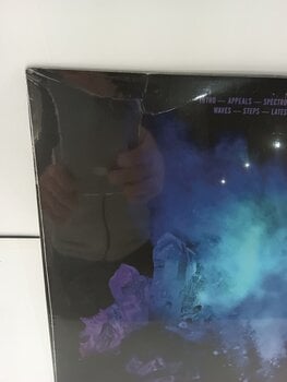Вінілові платівки Bayonne - Primitives (Violet Coloured) (LP) (Пошкоджений) - 4