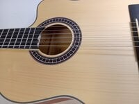 Pasadena PCC-10 4/4 Natural Klasična gitara