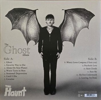 Vinylplade The Haunt - Ghost (180 g) (LP) - 3