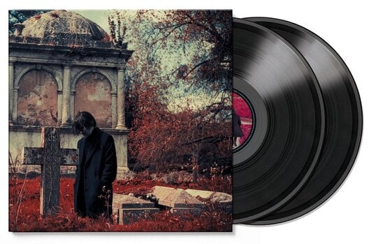 Вінілові платівки Steven Wilson - Requiem For A Village (2 LP) - 2
