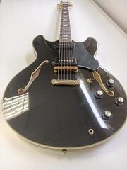 Напівакустична гітара Sire Larry Carlton H7V Black Напівакустична гітара (Як нові) - 1